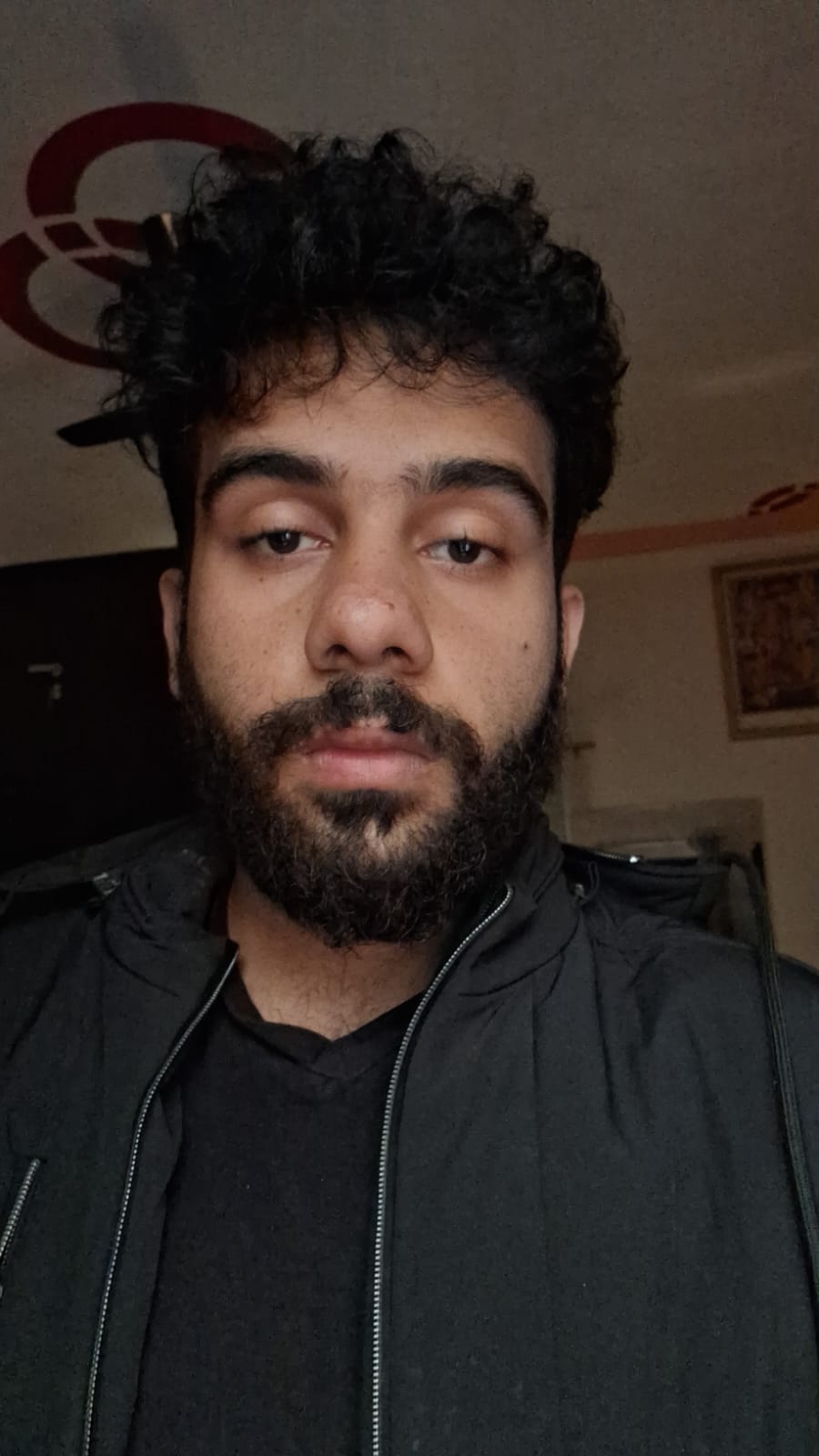 mridulpancholi's input image